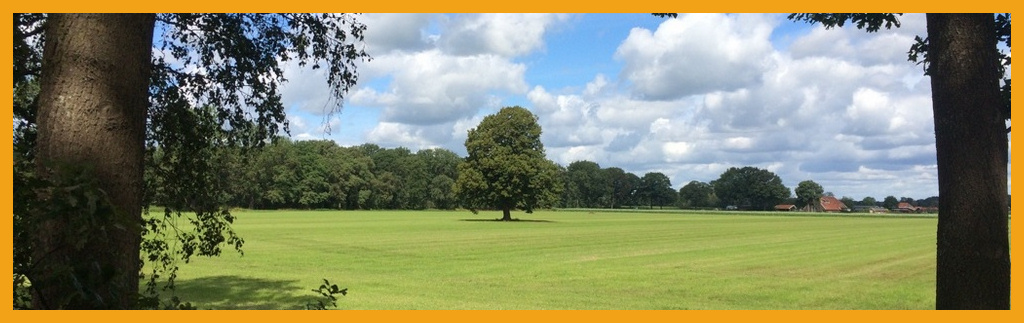 boom in wei 1024x322 oker